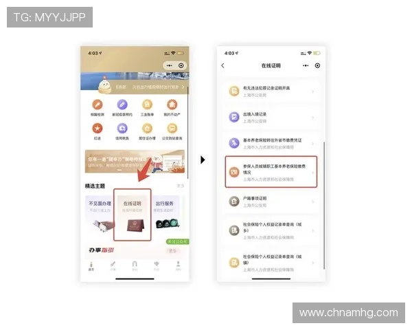 开云体育官网登入：详细指南帮助用户快速完成账号登录流程