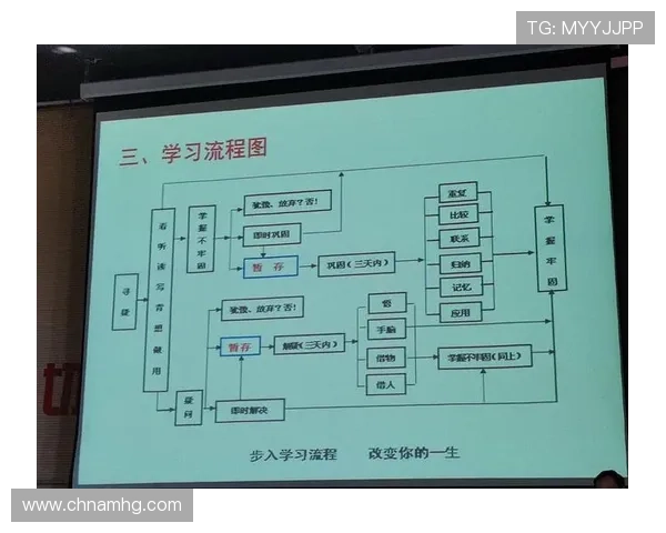 皇冠集团会员注册流程优化建议，提升注册效率和用户体验的实用技巧